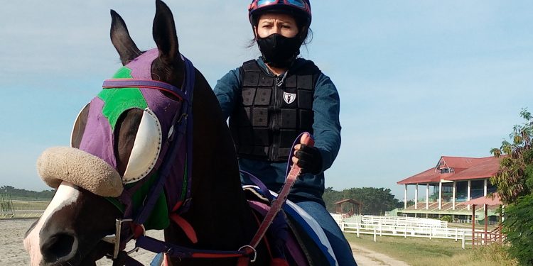 Jocketa peruana hará campaña en el V Centenario