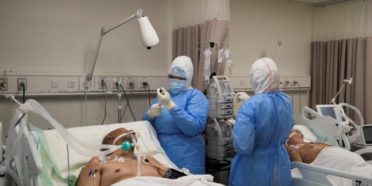 Reportan 24 muertes por Covid-19