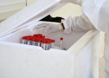 Detectan 313 nuevos casos por COVID-19 en las últimas 24 horas