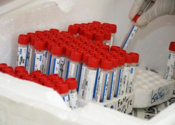 MSP reporta 523 casos nuevos y 5 defunciones notificadas en las últimas 24 horas