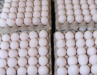 Agricultura intervendrá en precios del huevo