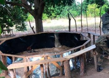 La policía desmantela gallera clandestina en Montecristi