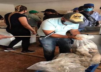 Medio Ambiente y SENPA van detrás de pescaderías venden Pez loro, Langosta, etc en veda