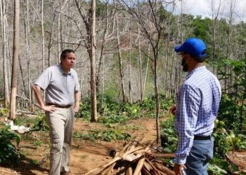 Procuraduría de Medio Ambiente somete a varios agresores de los recursos naturales