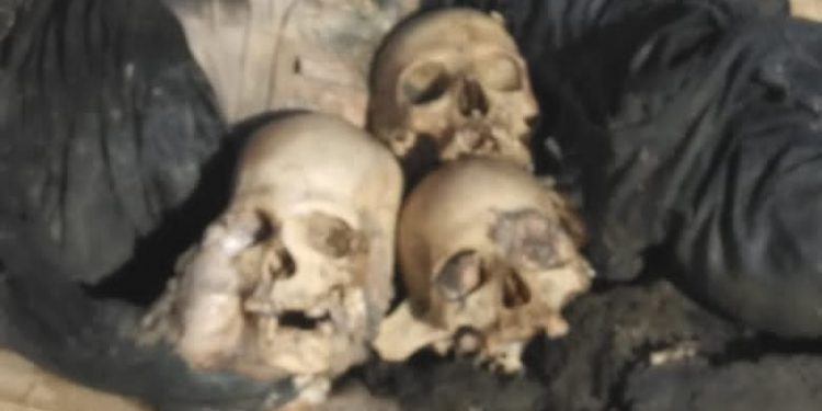 Un cadáver decapitado, tres cráneos y dos brazos contenía saco encontrado en Majagual de Villa Riva