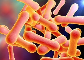 Salud Pública emite alerta epidemiológica por casos de difteria