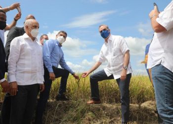 Presidente Abinader participa en el inicio de la cosecha de arroz y destaca aumento de producción; garantiza abastecimiento y estabilidad de precio