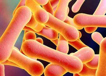 La Difteria causas y consecuencias