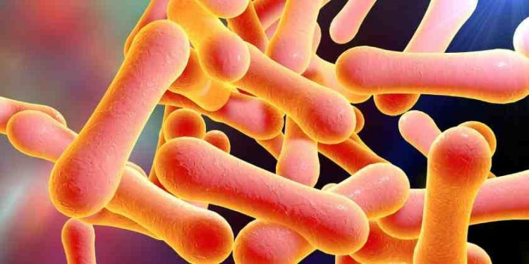 La Difteria causas y consecuencias