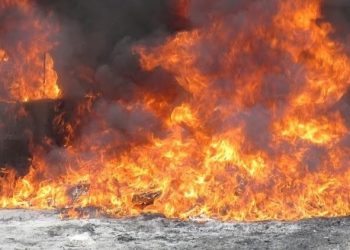 El Inacif incinera más 1,738 kilos de drogas ocupados por la DNCD y el Ministerio Público