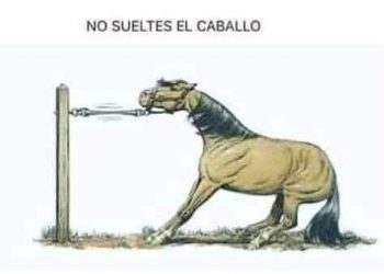 REFLEXIÓN DEL CABALLO