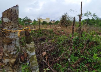 Por tercera ocasión invaden zona protegida en Sabana Grande de Boyà