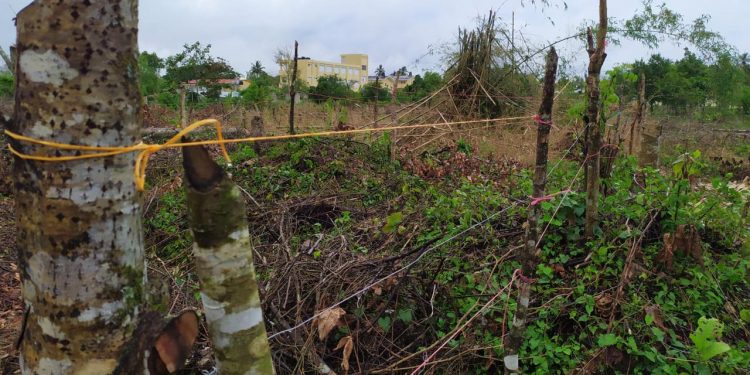 Por tercera ocasión invaden zona protegida en Sabana Grande de Boyà