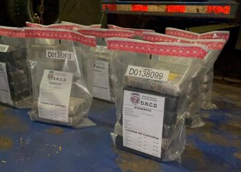 Ocupan 50 paquetes de cocaína en Puerto Don Diego que serían enviados a Puerto Rico