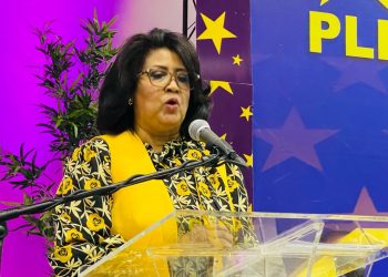 Cristina Lizardo dice recorrerá todas las estructuras intermedias y de base del PLD