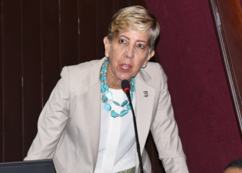 Senadora Ginette Bournigal afirma que «no es momento de subir sueldo»
