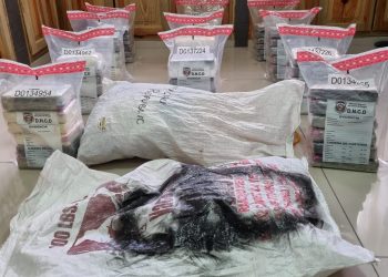 Autoridades incautan de 66 paquetes de cocaína en una finca de Samaná
