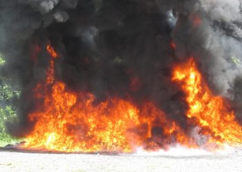 PGR incinera más de 1,052 kilos de drogas ocupadas en la última semana