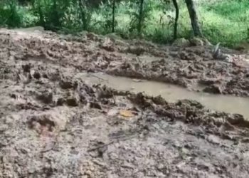 En Los Hidalgos de Bayaguana solicitan camino vecinal al Gobierno