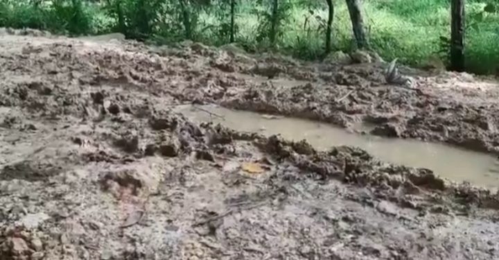 En Los Hidalgos de Bayaguana solicitan camino vecinal al Gobierno