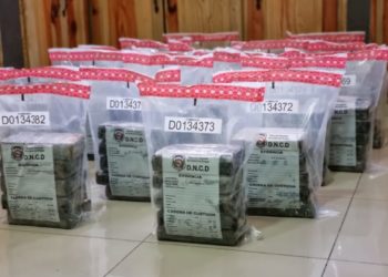 DNCD y Armada ocupan 90 paquetes de cocaína en costas de San Pedro de Macorís