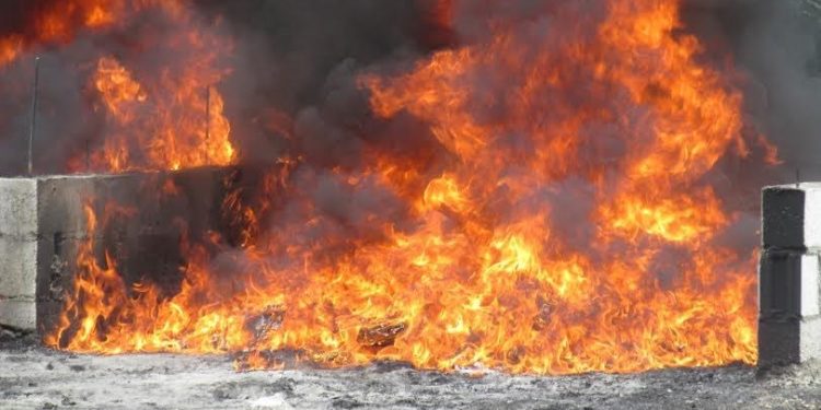 PGR incinera 338 kilos de distintas drogas