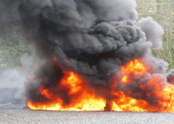 La Procuraduría General incinera 249 kilogramos de drogas ocupadas en distintos lugares del país