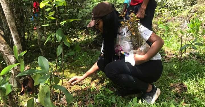 Reforestan con mil árboles el Río Boyà, supuestamente depredado por empleados de Adam Cáceres