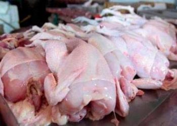 Inespre venderá pollos importados ante escasez por peste porcina