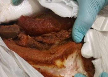 Atrapan dominicana con un kilo de chicharrón en Aeropuerto Tocumen de Panamá