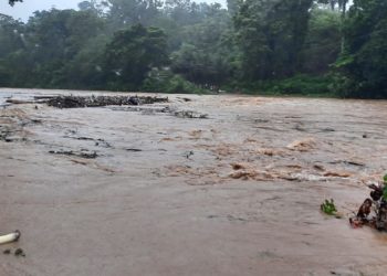 Varias comunidades están incomunicadas por crecida de río en Peralvillo
