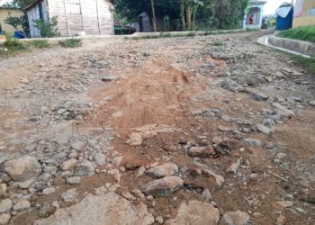 Solicitan arreglo de camino vecinal en Peralvillo, Monte Plata