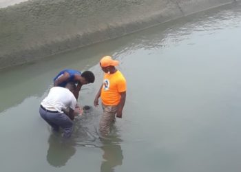 Encuentran niña ahogada en Azua