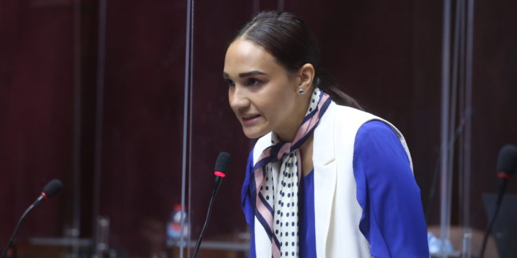 Diputada Priscila D’Oleo denuncia que Ministro de Educación Superior cobra dos salarios de la nómina Publica