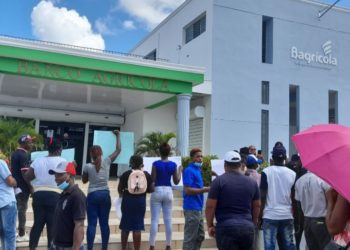 Porcicultores de Monte Plata reclaman pago por cerdos sacrificados