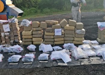 Autoridades queman otros 233 kilogramos de drogas