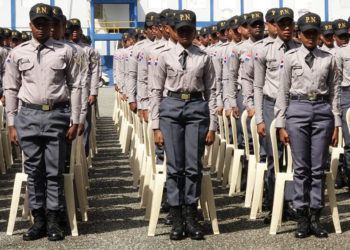 Amplían a un año tiempo mínimo de formación de PN