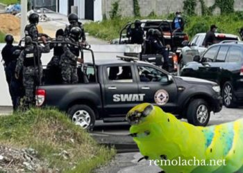 Autoridades ponen en marcha la «Operación Larva»; realizan allanamientos en SD y la región Este