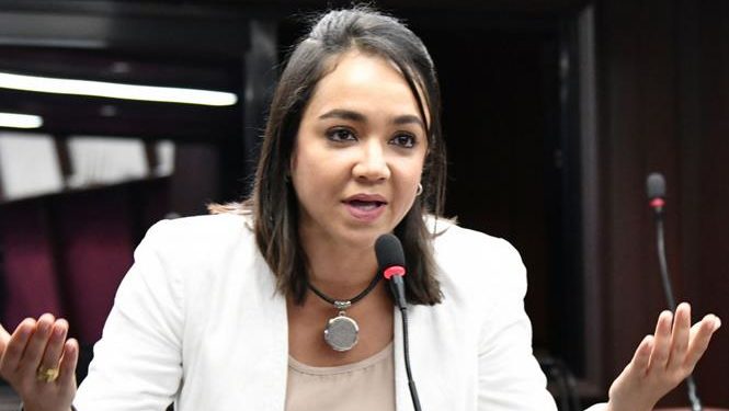 Faride Raful tras rechazo de las tres causales: «No estamos derrotados»