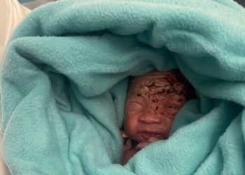 Encuentran recién nacido abandonado en el cubo de basura del baño de un avión