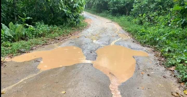 Demandan de las autoridades la construcción de 14 kilómetros de carretera en El Corozo de Peralvillo