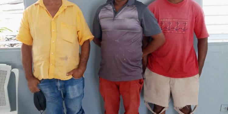 Policía Nacional apresa tres personas por robo de res en Monte Plata