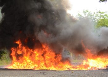 Autoridades incineran 1,332 kilogramos de diferentes drogas