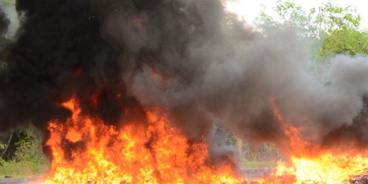 Autoridades incineran 1,332 kilogramos de diferentes drogas
