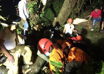 Un hombre muere al caerle un árbol encima en Santiago