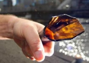 Adolescente muere a causa de herida en el cuello con un casco de botella