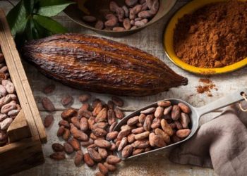 Chocolate a base de Cacao dominicano gana premio internacional en Reino Unido