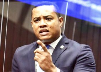 Diputado Gaddis Corporán denuncia segunda ola de descrédito de Punta Catalina