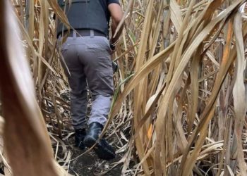 PN abate a dos presuntos delincuentes y hiere otro en El Seibo