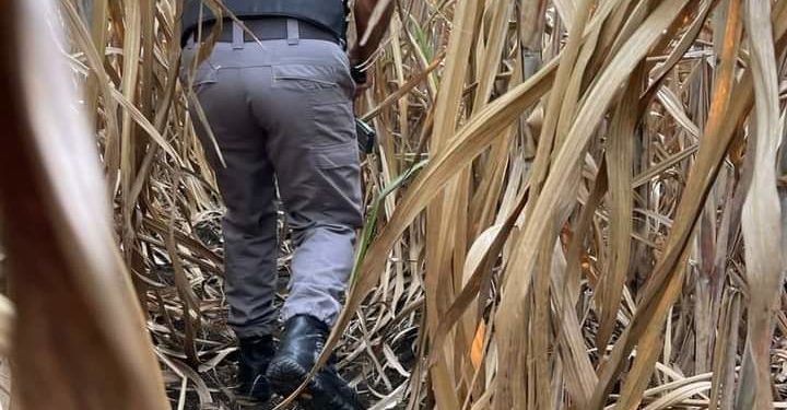 PN abate a dos presuntos delincuentes y hiere otro en El Seibo